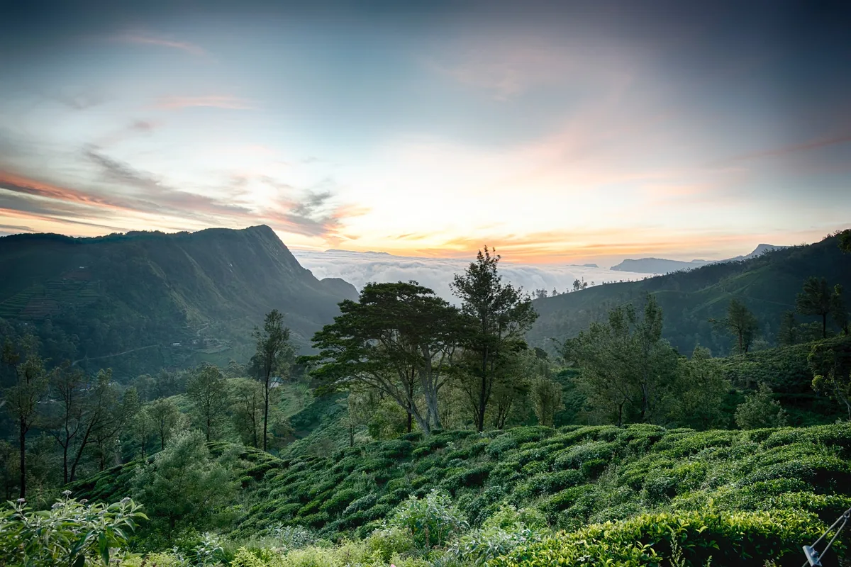 Sri Lanka hill country private chauffeur route